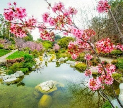 comment faire un jardin japonais conseils paradis zen exterieur miniature pierres plantes maison