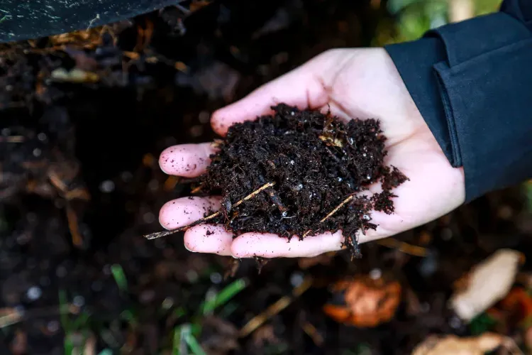 compost trop liquide solution aeration humidite ingrédients insectes odeur désagreable jardinage moisi