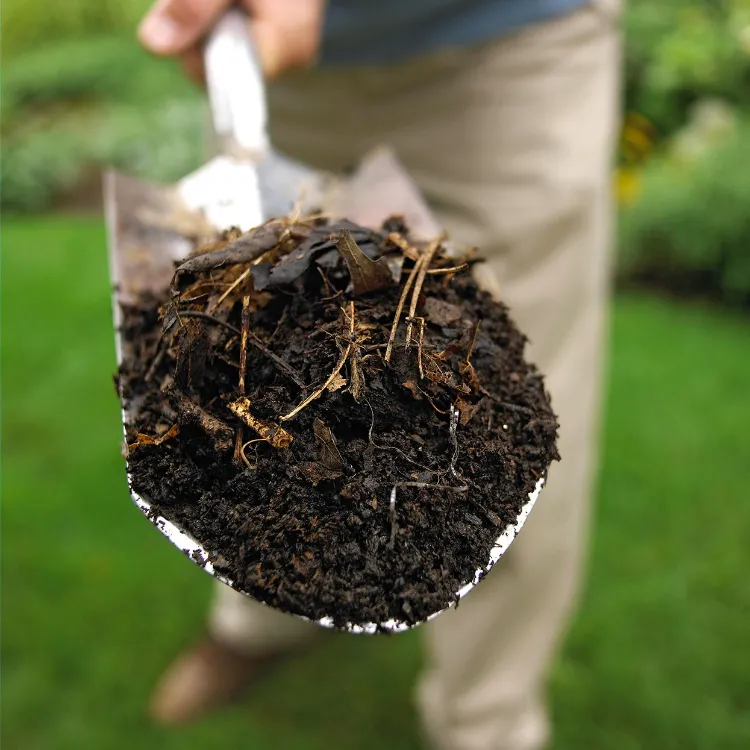 compost trop liquide solution aeration humidite ingrédients insectes odeur désagreable jardinage