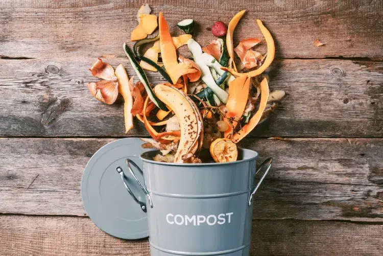 quels sont les déchets à ne pas mettre dans le compost qu'est ce qui pousse dans le compost tomates courgettes poivrons laitue maison jardin légume plante