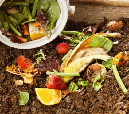 qu'est ce qui pousse dans le compost naturel maison jardin légume plante guide methodes