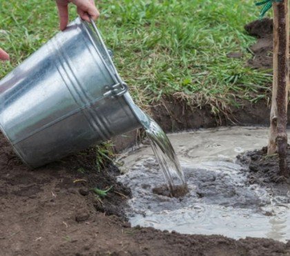 astuces économiser l'eau au jardin arrosage malin plantes techniques recycler réutiliser les eaux grises sans danger