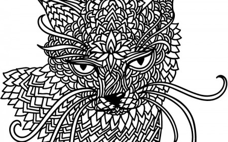 coloriage chat pour adulte mandala