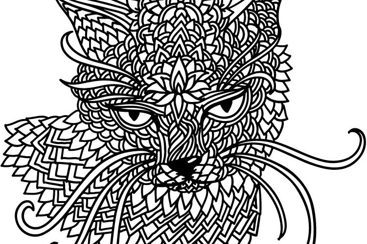 coloriage chat pour adulte mandala