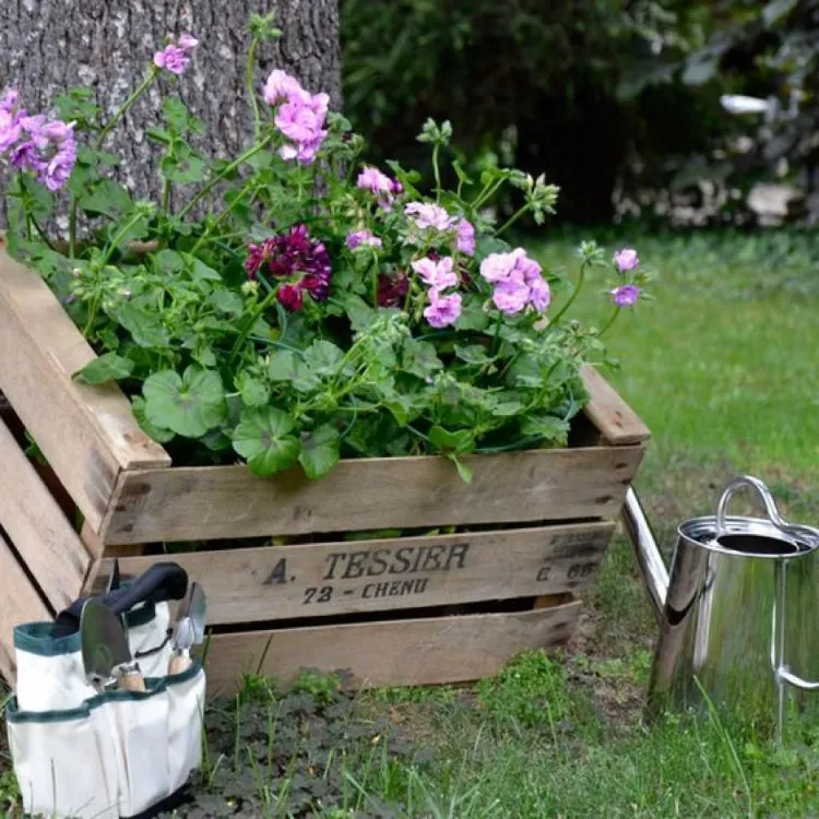 comment faire une jardinière avec une caisse en bois 2023