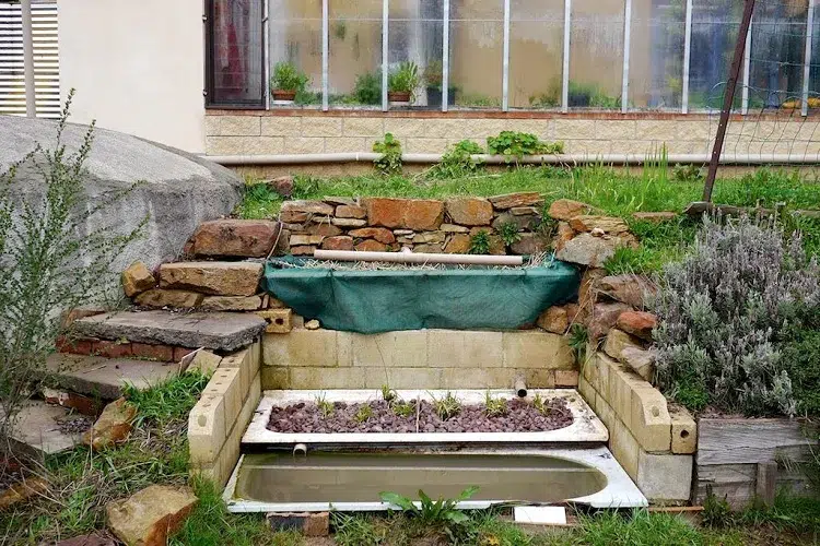 comment utiliser les eaux grises pour arroser les plantes au jardin canicule sans danger système filtration traitement eau usée