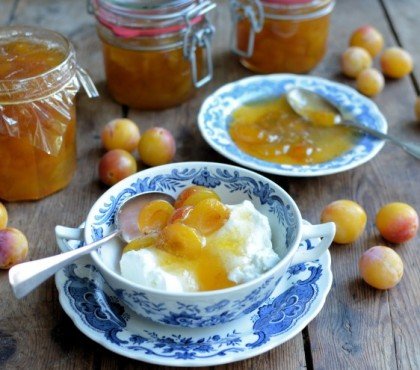 confiture de mirabelles avec mois de sucre au miel valeur nutritionnelle recette