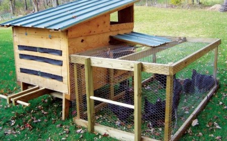 construire un poulailler à partir de palettes