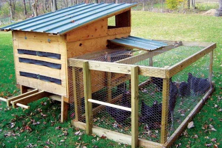 construire un poulailler à partir de palettes