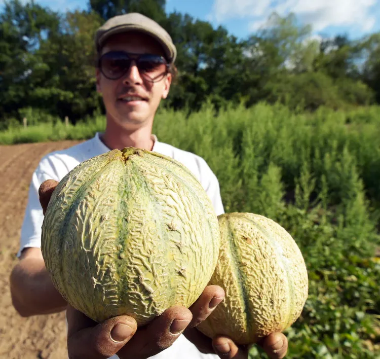 cueillir le melon 4 critères 2023