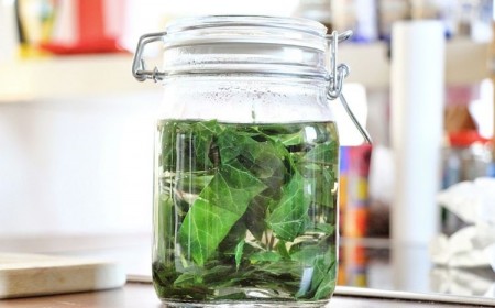 diy recette fabriquer soi même une lessive maison avec feuille de lierre pas cher facile rapide naturelle tuto produit linge écolo