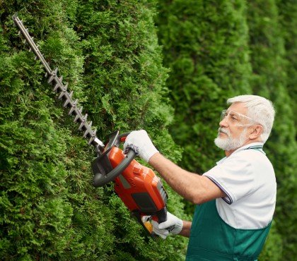 man wearing ear and face protection cutting hedge.