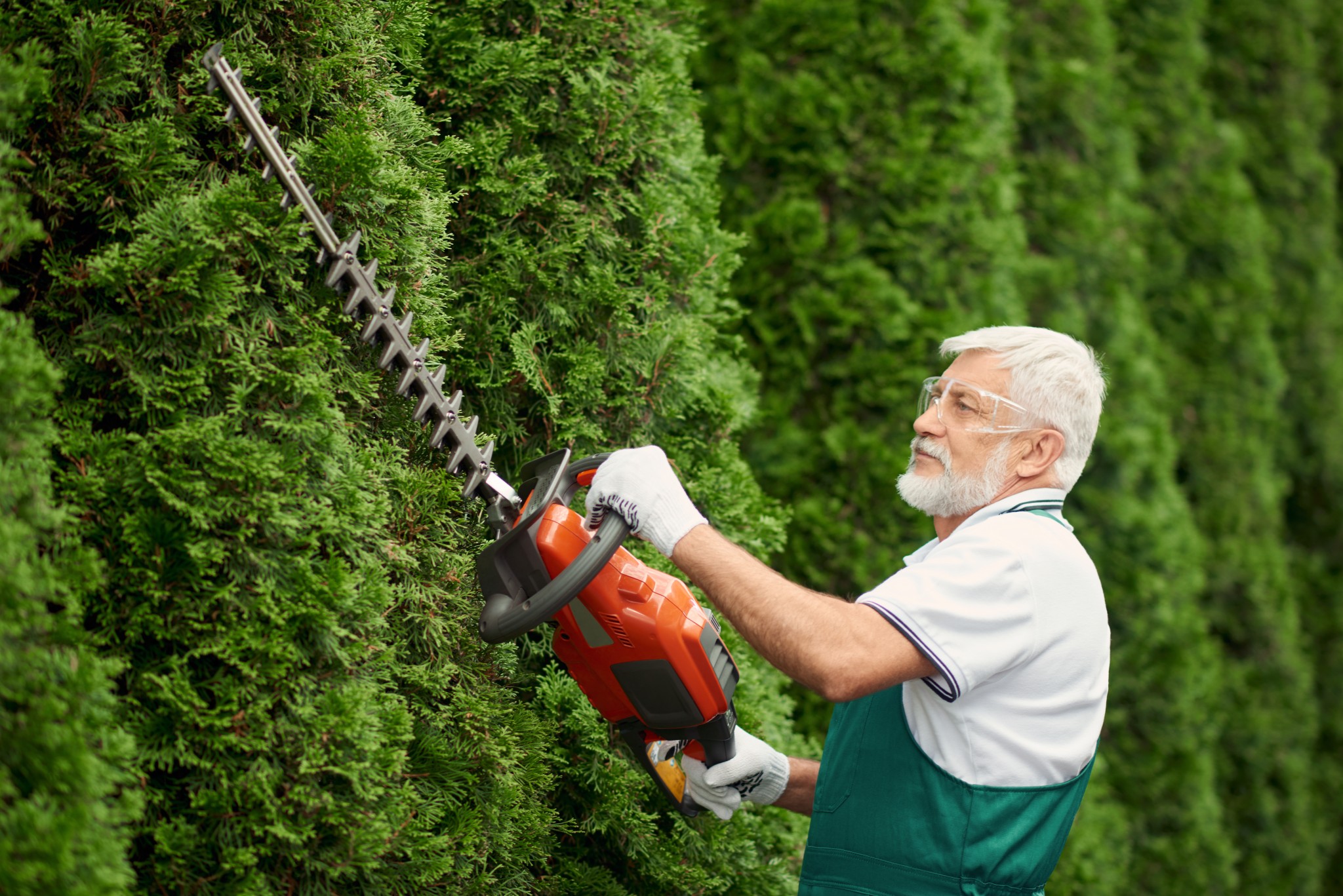 man wearing ear and face protection cutting hedge.