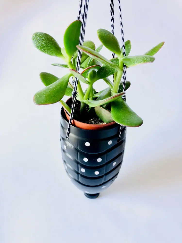 EcoCulleghju&Liceu] Fabriquer des pots de fleurs noirs avec des bouteilles  en plastique 