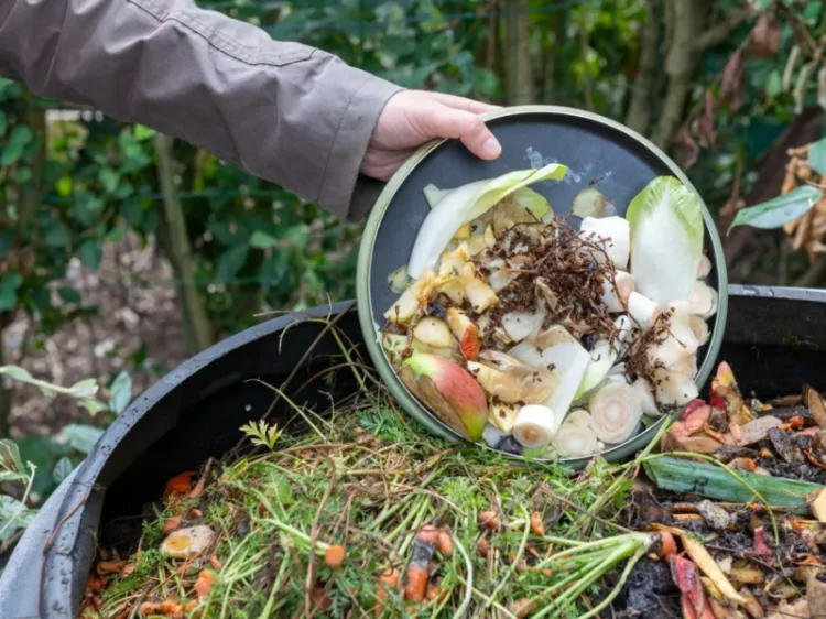 liste déchets verts et bruns à mettre dans le compost astuces comment composter à chaud ou à froid