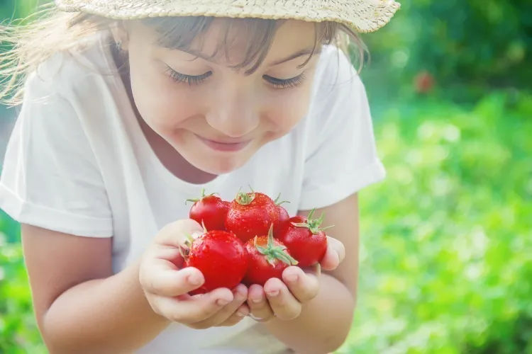 pas de régime tomates pour les enfants 2023