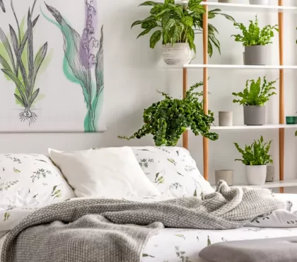 peut on dormir avec des plantes dans une chambre inconvénients