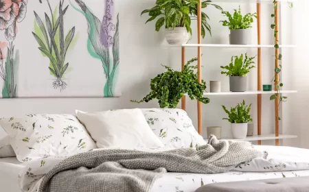 peut on dormir avec des plantes dans une chambre inconvénients