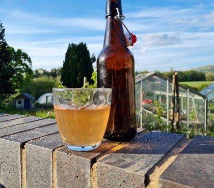 pourquoi et comment utiliser la bière au jardin pour arroser les plantes nettoyer les outils repousser les nuisibles