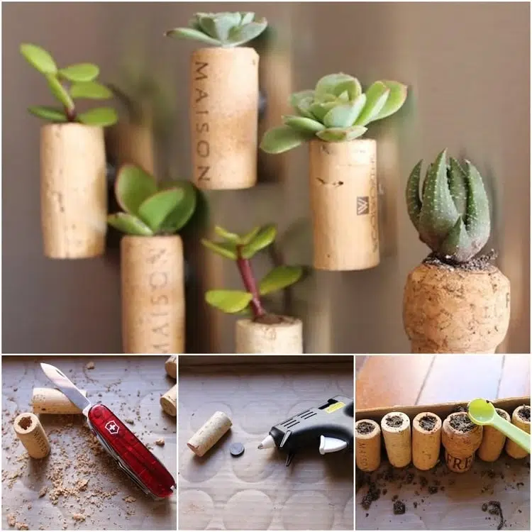 que faire avec des bouchons en liège mini pots pour plantes succulentes idée diy