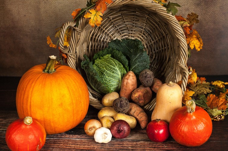 que planter au jardin en septembre légumes fleurs