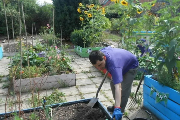 quels légumes planter en août préparer terre affaiblie amendement enrichir désherber