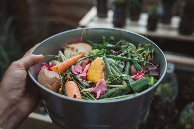 quels sont les déchets à ne pas mettre dans le compost aliments à ne pas composter
