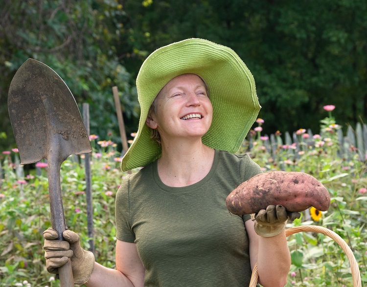 woman with sweet potato in a garden.