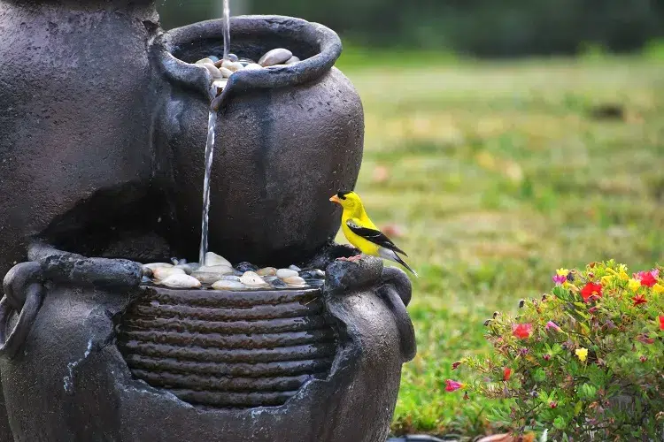 bains pour oiseaux dans un jardin méditerranéen