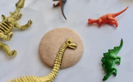 brico dinosaure facile top parfaites idees facile enfant rouleau papier assiette carton vert rouge
