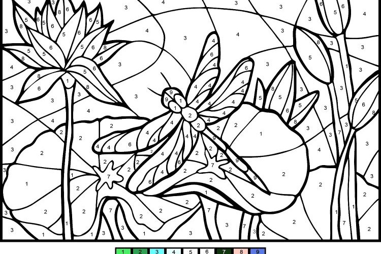 Coloriage adulte numéroté à imprimer gratuitement : + 20 idées