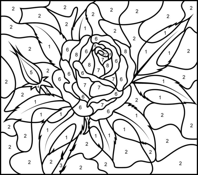 coloriage avec des roses pour adultes numeroté ligne gratuit telecharger imprimer cultura disney