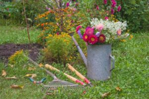 comment enrichir la terre en automne pour booster la floraison des plantes