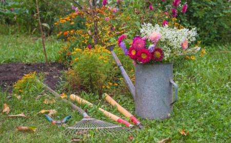 comment enrichir la terre en automne pour booster la floraison des plantes