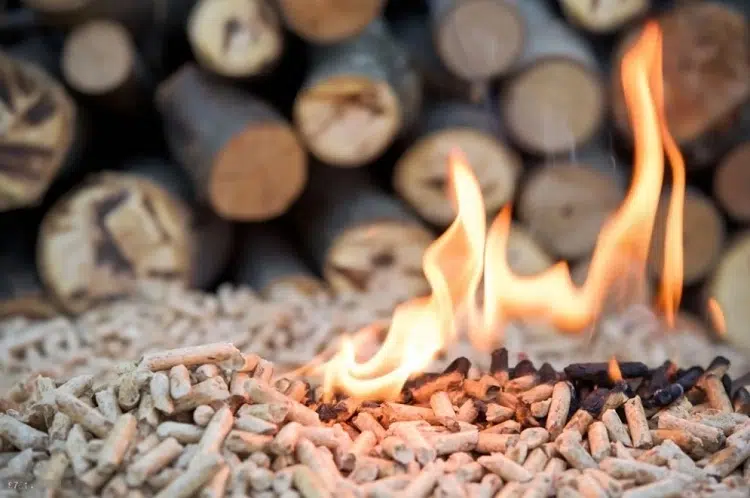 comment faire des granulés de bois soi même