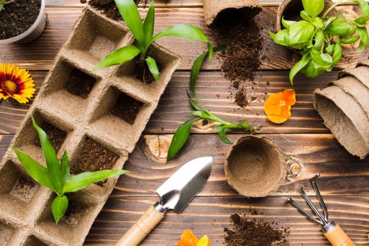 composter des fleurs fanées seches feuilles meurtes dechets plantes toxiques