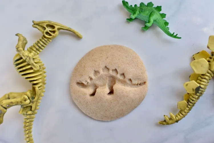un fossile de dinosaure diy brico dinosaure facile top parfaites idees facile enfant rouleau papier assiette carton 2 ans