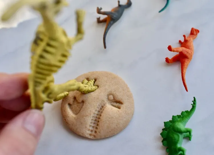 un fossile de dinosaure diy brico dinosaure facile top parfaites idees facile enfant rouleau papier assiette carton