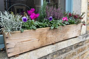 annuelles vivaces fleurs plantes pour jardinières d'automne sans entretien déco extérieur bord fenêtre balcon