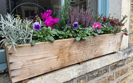 annuelles vivaces fleurs plantes pour jardinières d'automne sans entretien déco extérieur bord fenêtre balcon