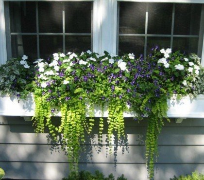 attacher une jardinière