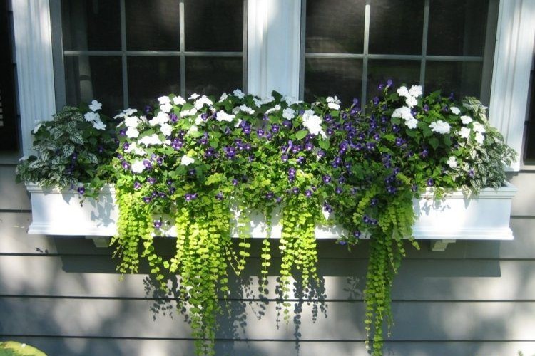 attacher une jardinière