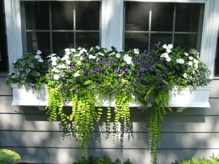 attacher une jardinière