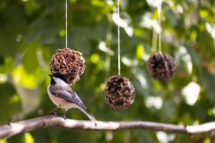 bricolage d'automne pour personnes âgées mangeoire pour oiseaux maison diy