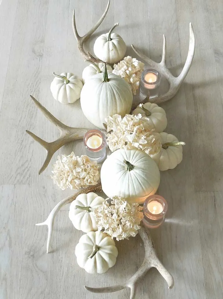 centre de table automne décoration citrouilles blanches fleurs hortensia bois de cerf
