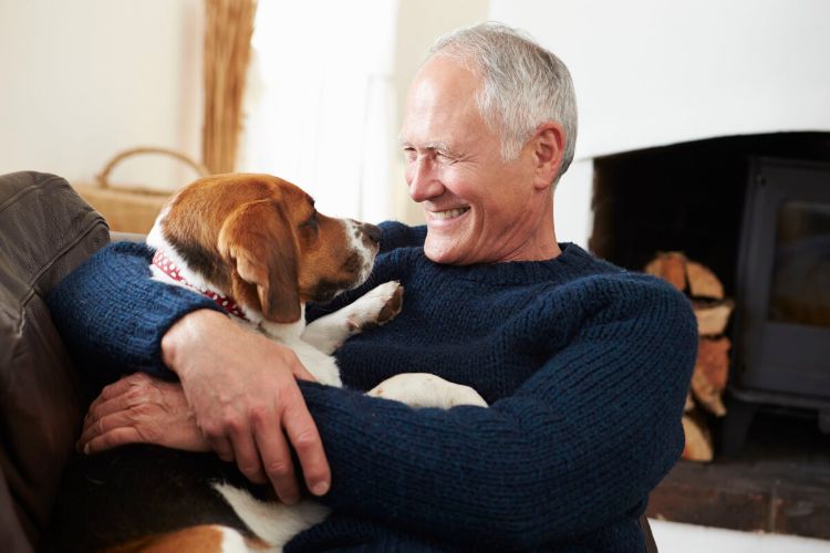 chien idéal pour personnes âgées