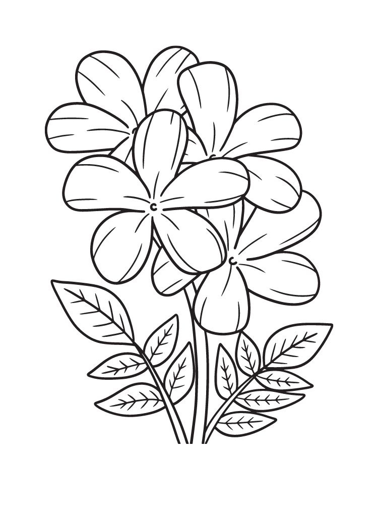 coloriage fleurs maternelle