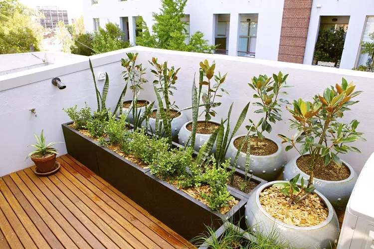 comment créer un jardin sur le toit par étapes quelles plantes y cultiver
