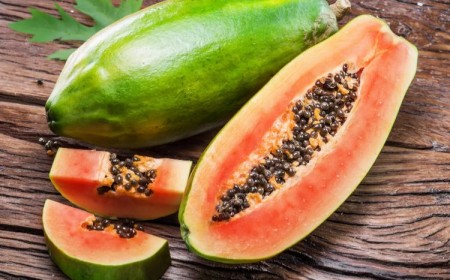 comment planter des graines de papaye