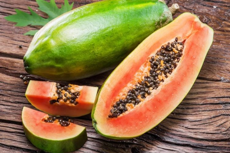 comment planter des graines de papaye